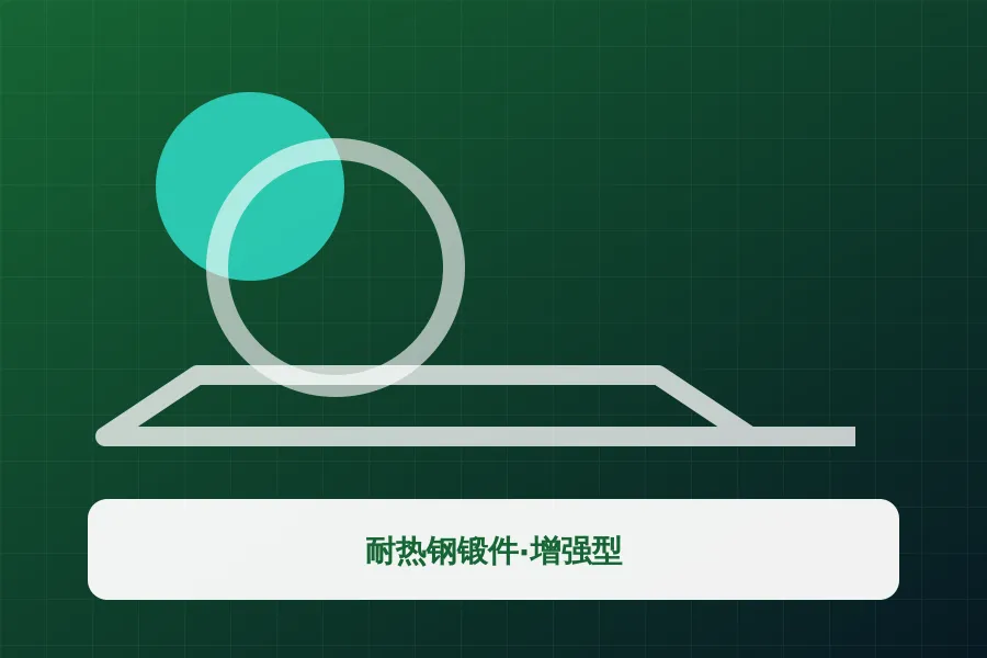 耐热钢锻件·增强型应用示意图